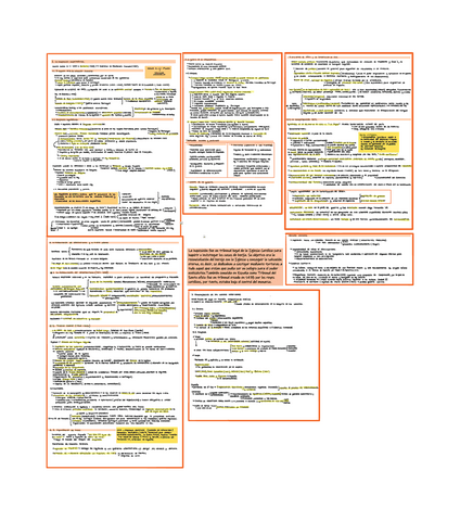 TEMA-5.-LIBERALISMO-FRENTE-AL-ABSOLUTISMO..pdf