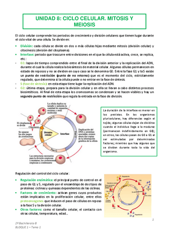 TEMA-8-Ciclo-celular.pdf