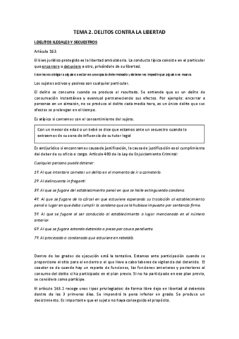 TEMA-2.pdf