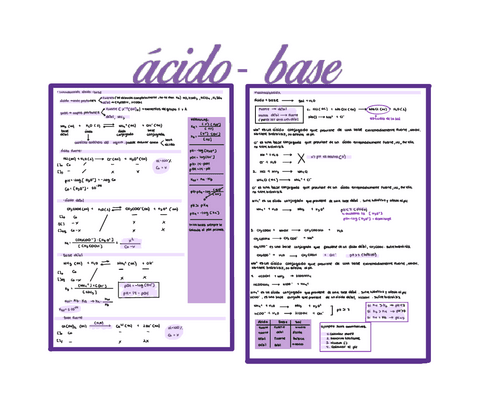 Apuntes.-Acido-base.pdf