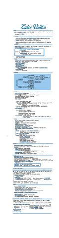 Entre-Visillos.-Apuntes..pdf