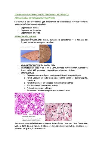 SEMINARIOS-ANATOPATO.pdf