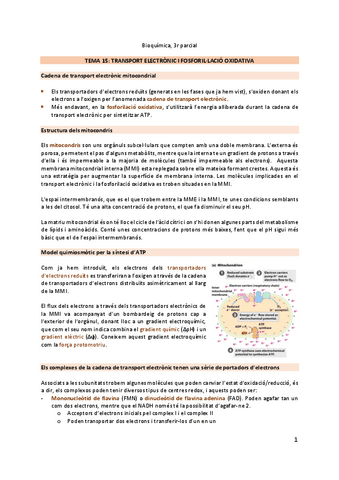 bioquimik-apunts-3p.pdf