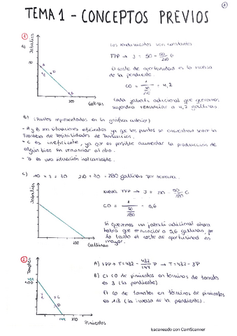 EJERCICIOS-TEMA-1.pdf