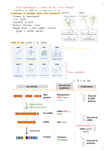 Tema-7-Eines-Biotecnologiques-Per-A-Lestudi-Del-RNA-I-De-La-Transcripcio.pdf