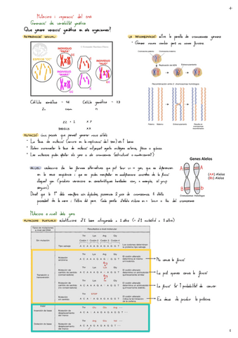 Tema-4-Mutacions-I-Reparacio-Del-DNA.pdf