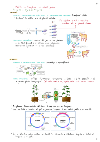 Tema-11-Mutants-VS.-Edicio-Genica.pdf