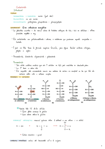 Carbohidratos.pdf