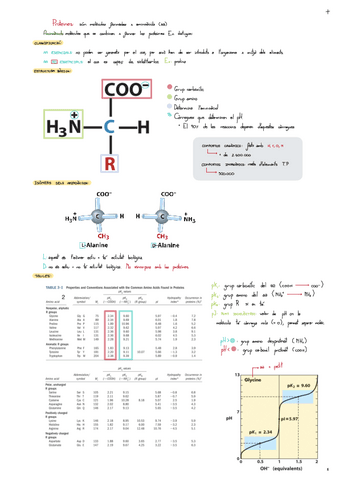 Proteines.pdf