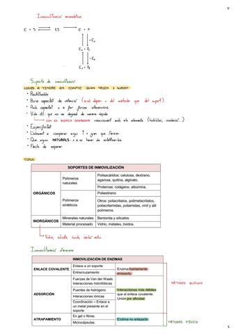 Copy-of-Inmovilitzacio-Enzimatica.pdf
