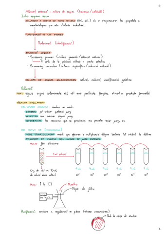 Seleccio-De-Soques.pdf