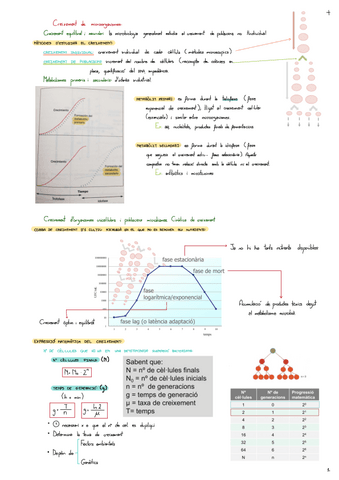 Creixement-De-Microorganismes.pdf