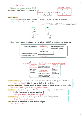 Diversitat-Metabolica.pdf