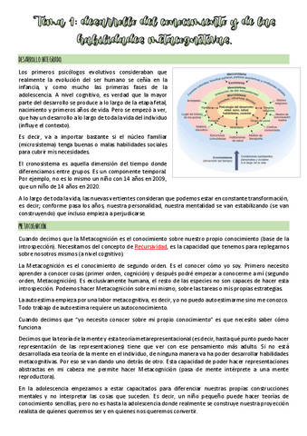 Tema-1-desarrollo.pdf