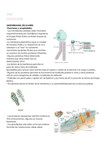 tema-2-fisio-completo.pdf