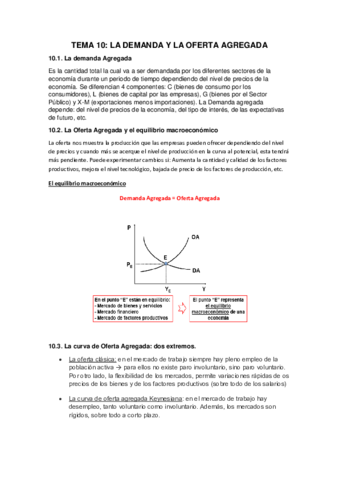 TEMA10 JN.pdf