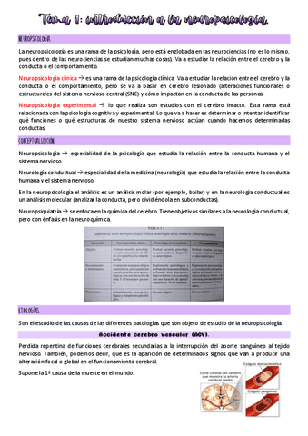 Tema-1-neuropsicologia.pdf