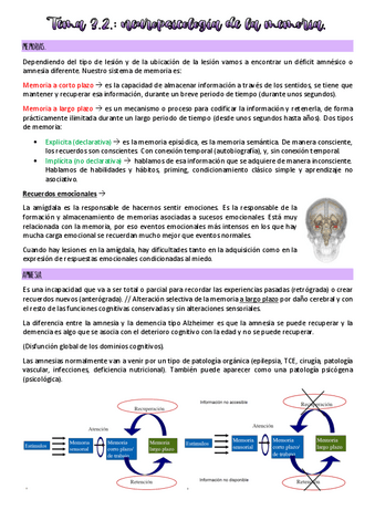 Tema-3.2-neuropsicologia.pdf