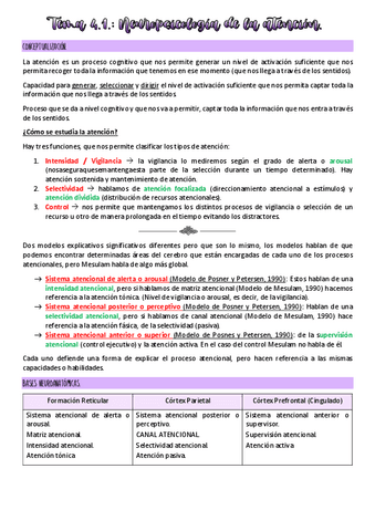 Tema-4.1-neuropsicologia.pdf