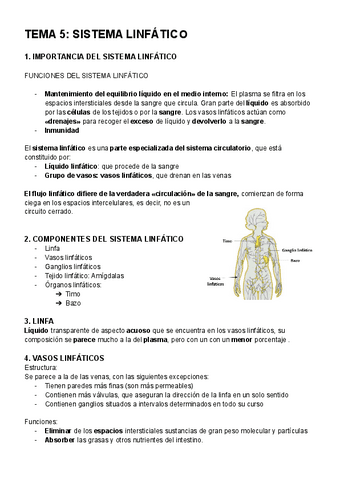 ANATOMIA-TEMA-5.pdf