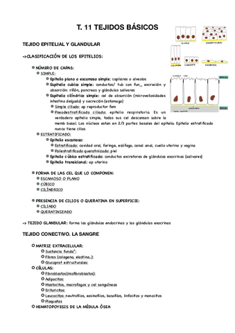 T.11-TEJ-BASICOS.pdf