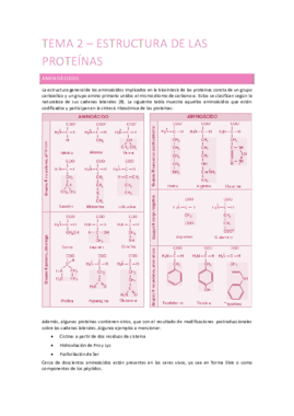 Tema 2 - Estructura de las proteínas.pdf