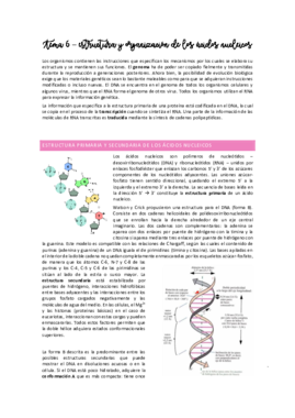 Tema 6 - estructura y organización de los ácidos nucleicos.pdf