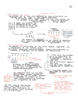 Temas 7- 8 y 9.pdf