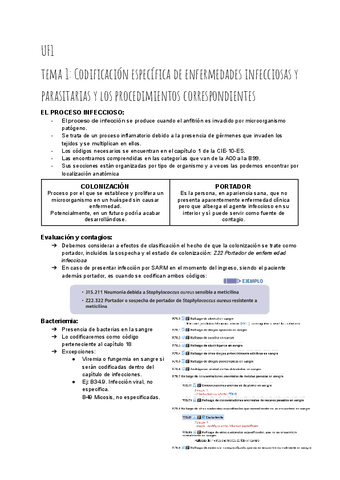 APUNTES-COMPLETOS-M07-CODIFICACION-SANITARIA.pdf