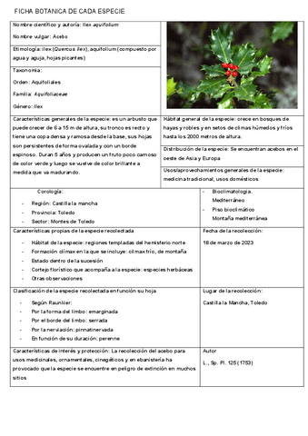 ficha-botanica-herbario-1-1.pdf