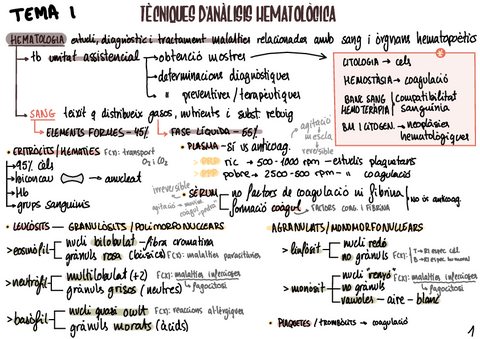 Hemat1.pdf