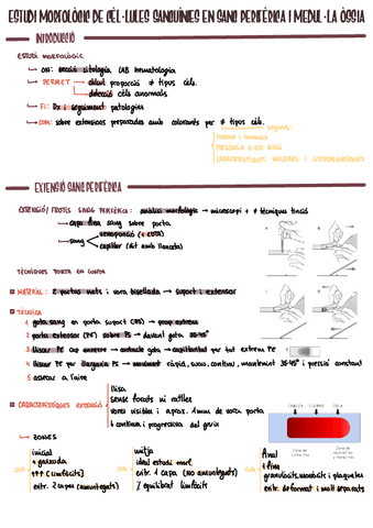 Hemat2.pdf