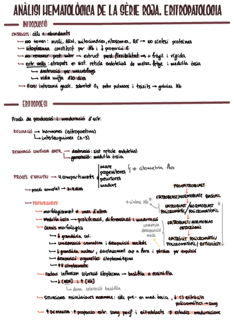Hemat4.pdf