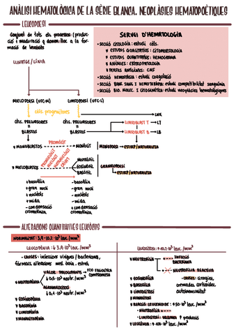 Hemat5.pdf