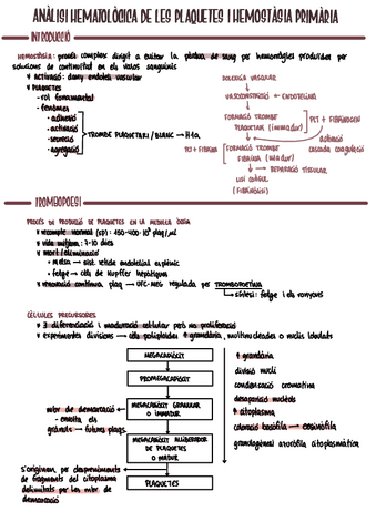 Hemat6.pdf