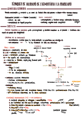 Hemat7.pdf