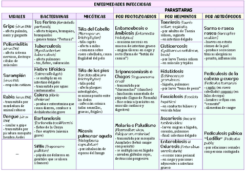 Enfermedades-infecciosas.pdf