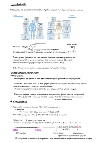 osteogenesis-imperfecta.pdf