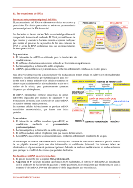 13. Procesamiento de RNA.pdf