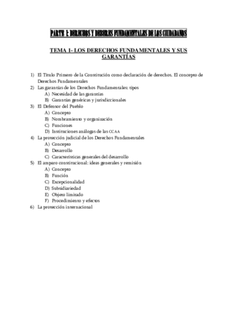 TEMARIO COMPLETO CURSO PDF.pdf