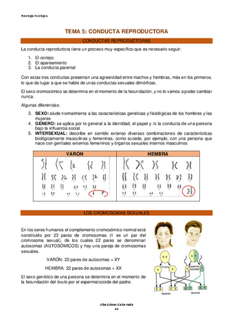 Psicologia-Fisiologica-T.5.pdf