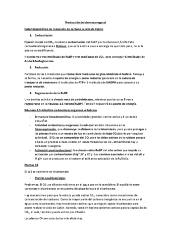 Tema-3.-Produccion-de-biomasa-vegetal.pdf