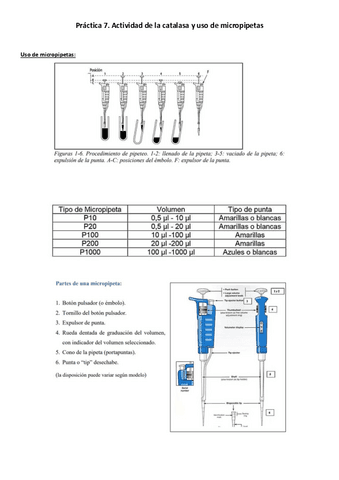 Practica-7-CATALASA.pdf