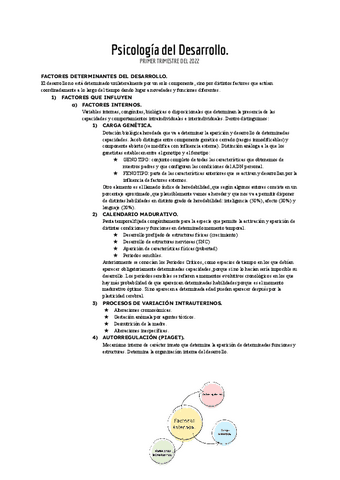 Psicologia-del-Desarrollo-Tema-1.pdf