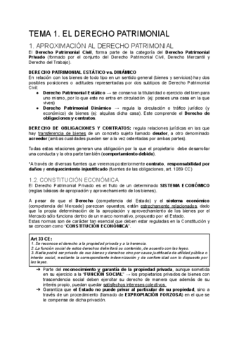 Derecho-Civil-Patrimonial-I-COMPLETO.pdf