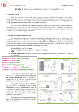 TEMA 5 BIOTRANSFORMACIÓN DE XENOBIÓTICOS II.pdf