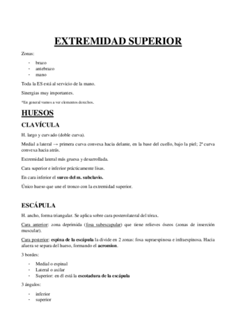 1.-Extremidad-Superior.pdf