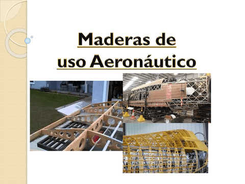 6-Maderas-2023.pdf