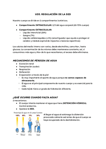 REGULACION DE LA SED.pdf