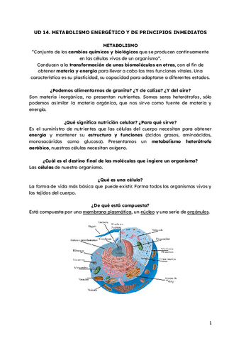 Metabolismo-CATABOLISMO.pdf